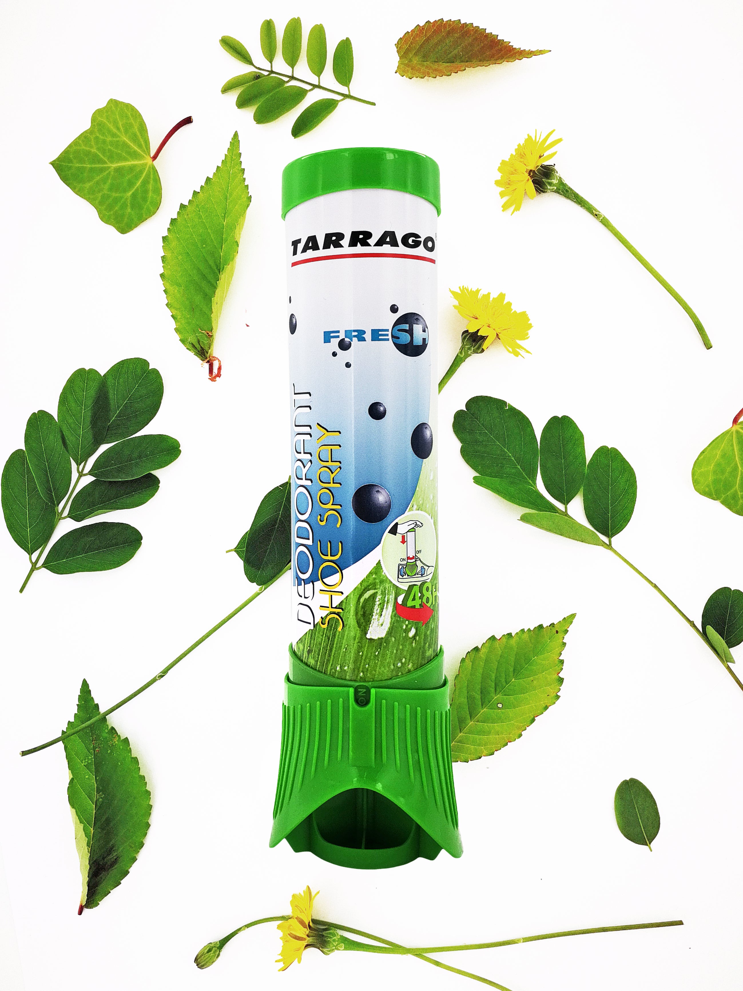 Fresh Deodorant Pump Spray